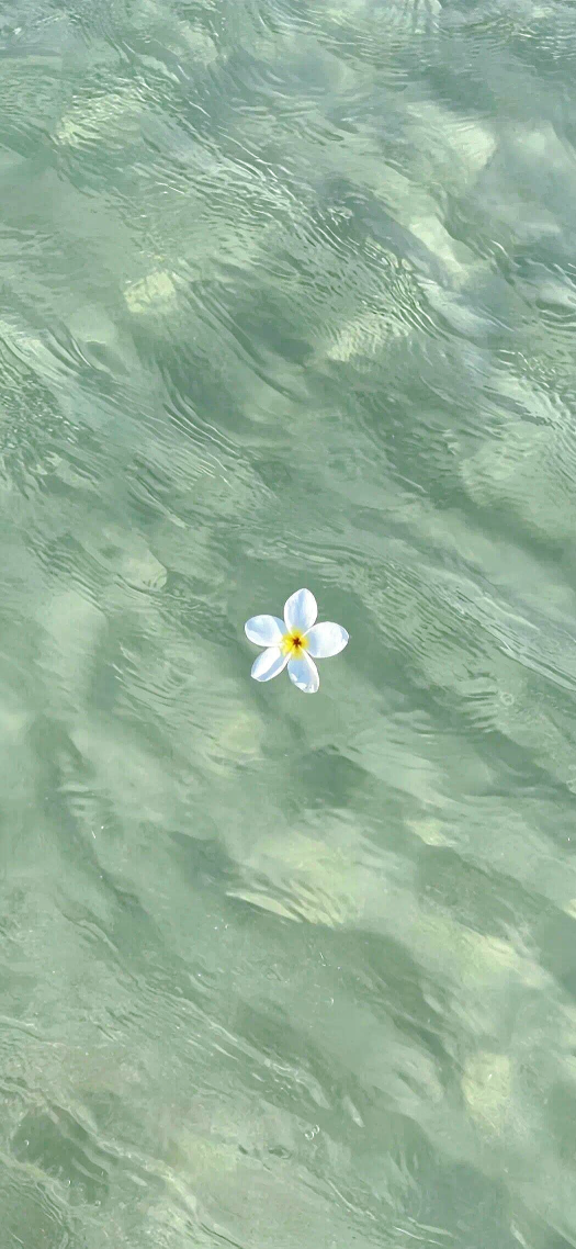 水中花，1