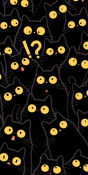 夜晚的黑猫