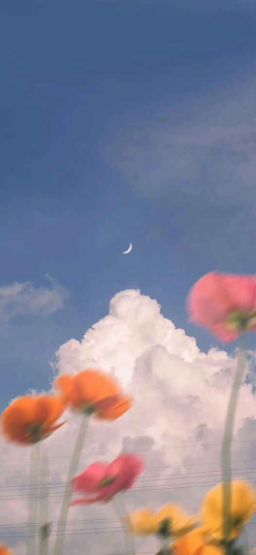 白云和蓝天