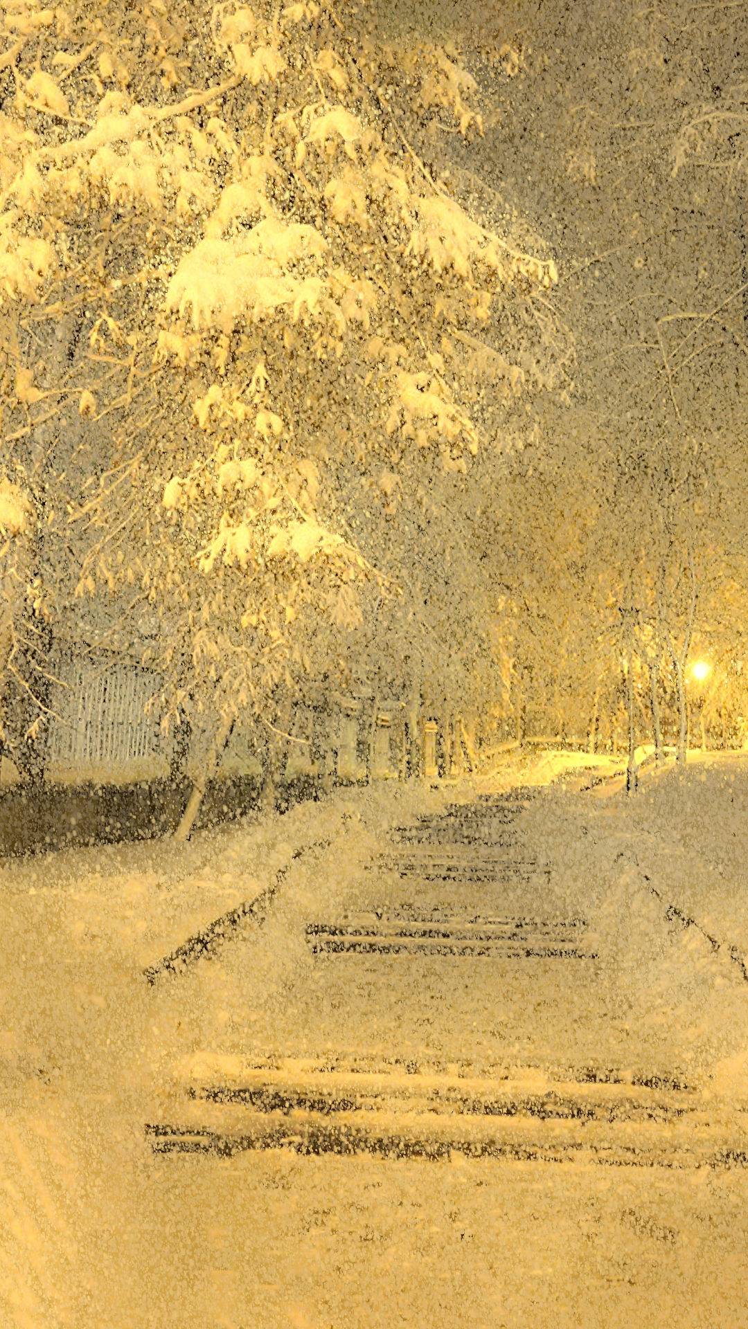 新年雪景