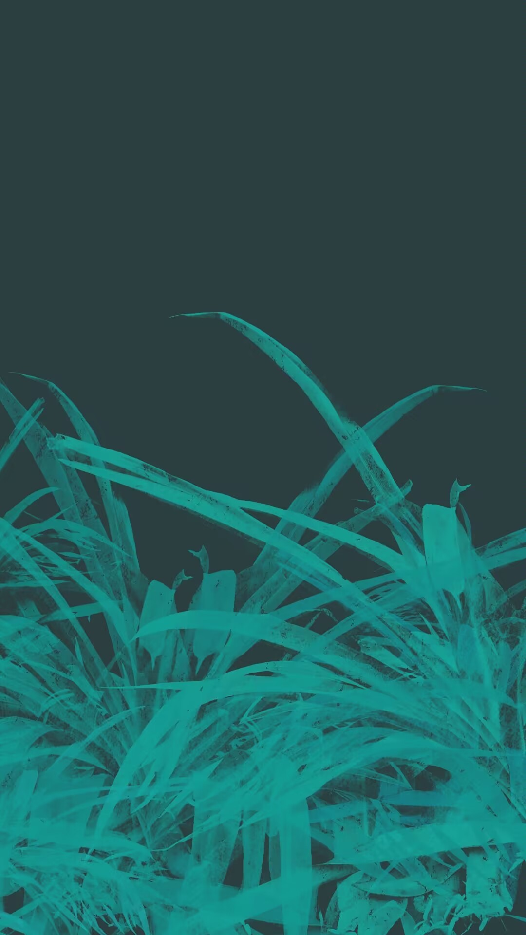 草