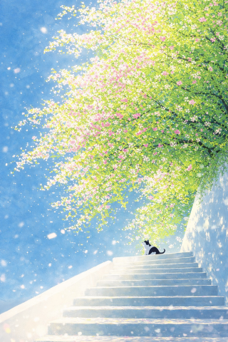 小黑猫与蓝天
