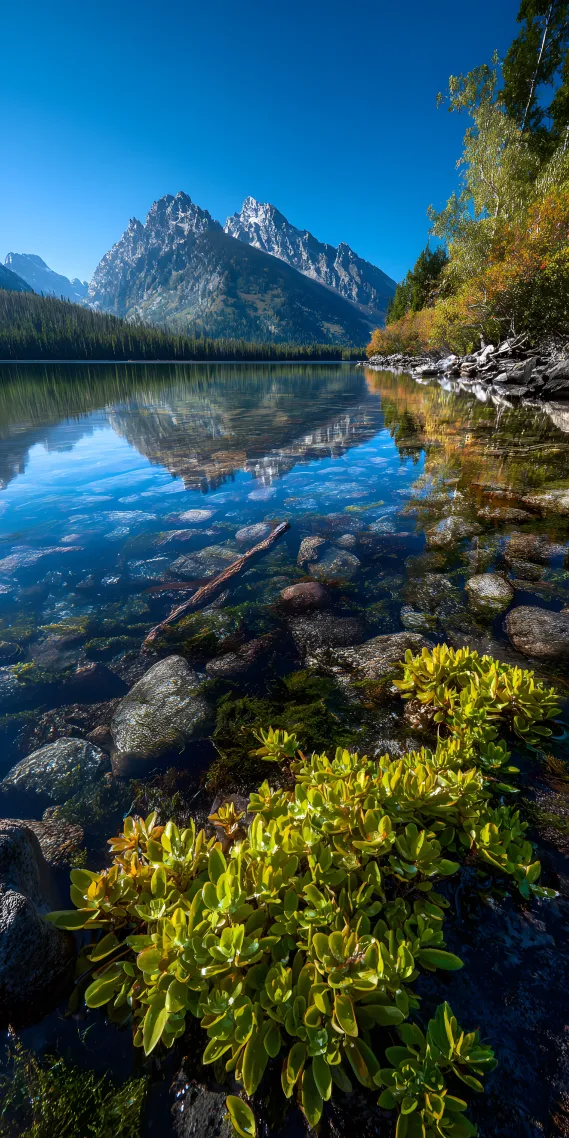 大提顿的镜中诗，珍妮湖与雪峰的倒影