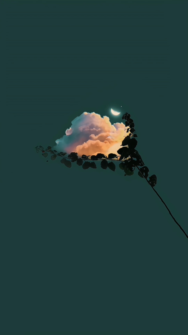 治愈夜景4k壁纸②