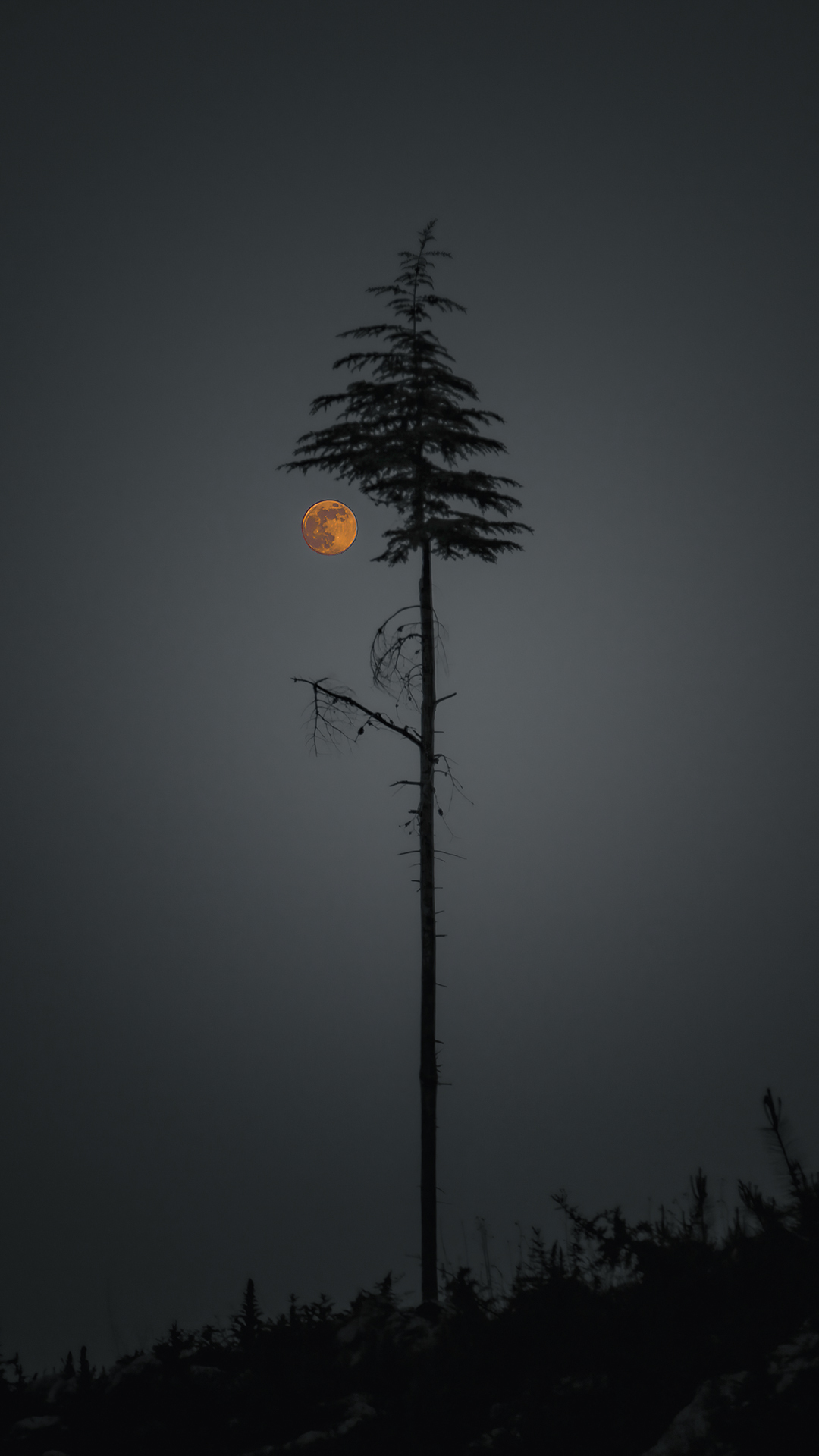 寂靜的夜晚