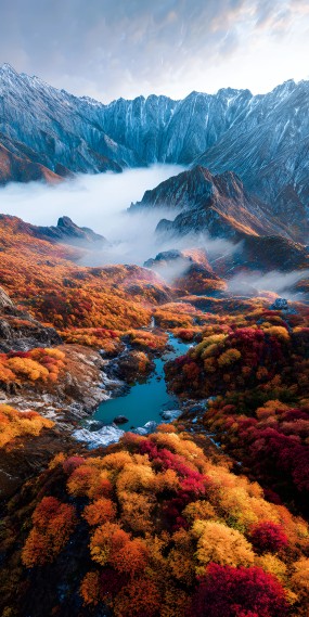 秋韵山河，云海与斑斓秋色的绝美交响