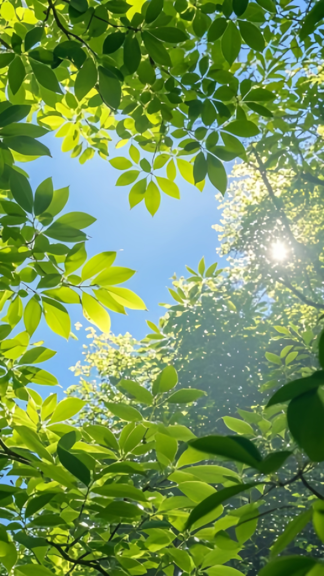 夏季清涼的感覺