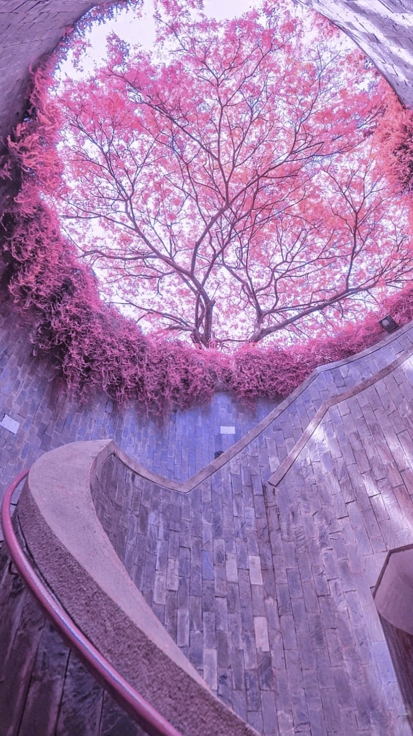風景