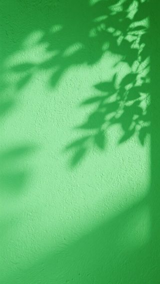 影子