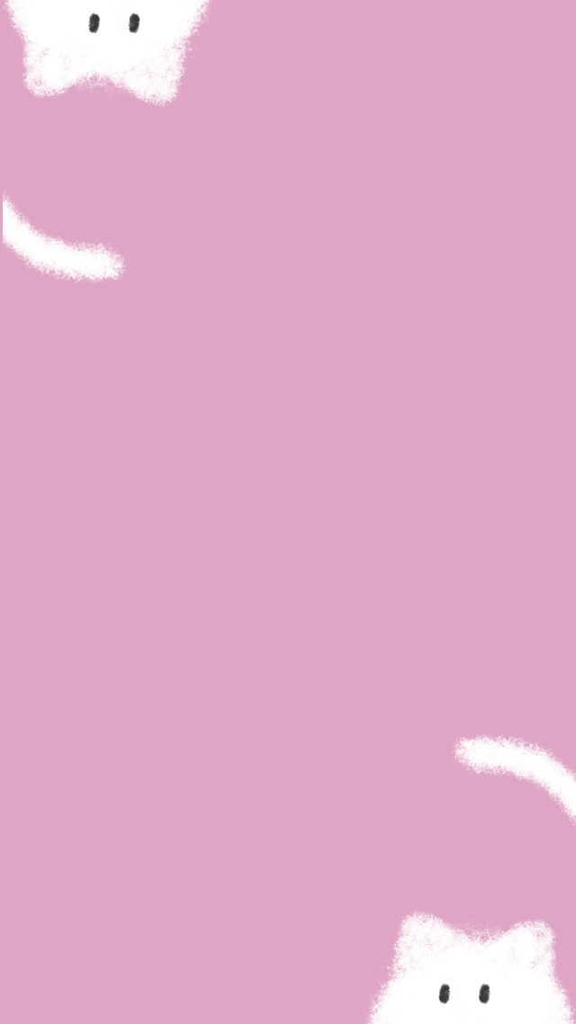 貓咪2