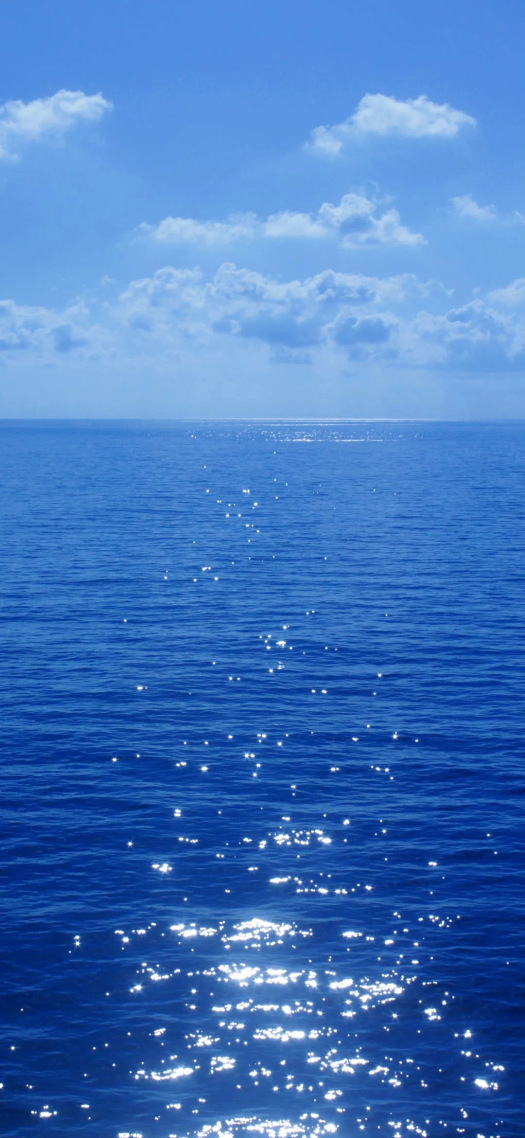 大海