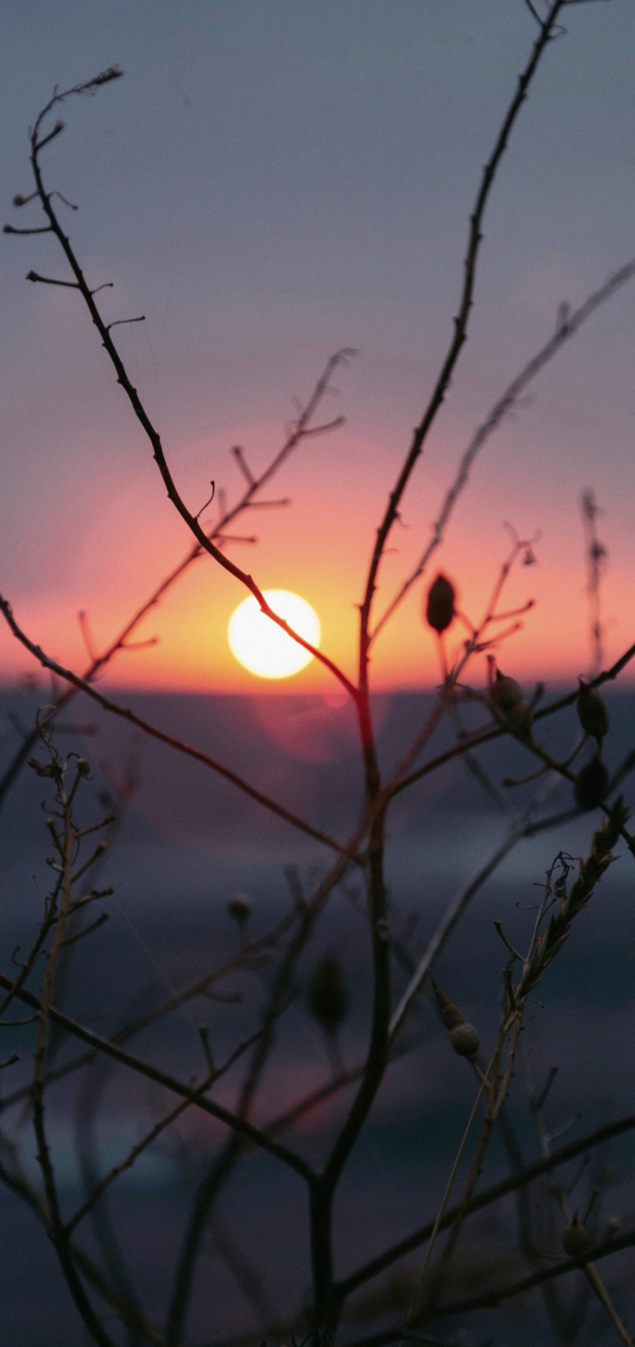 唯美夕阳红