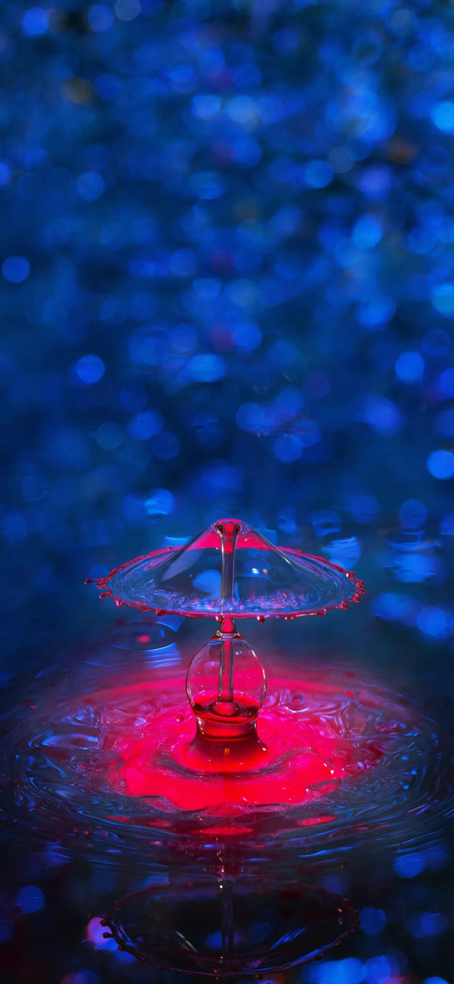 星
