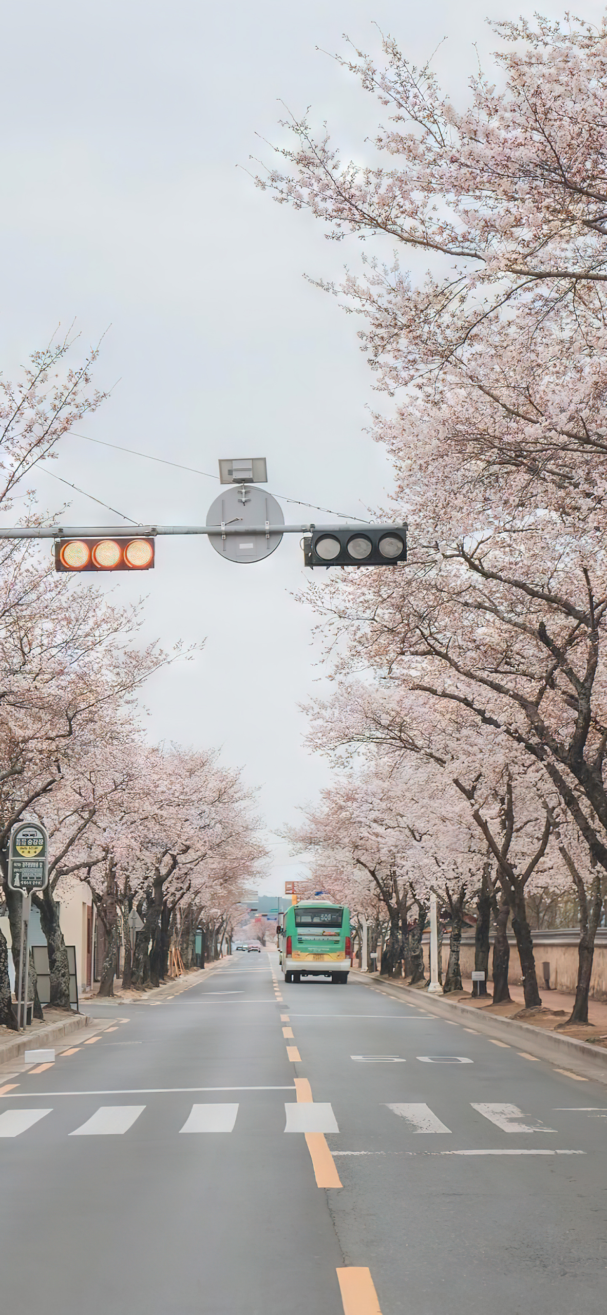 唯美街道