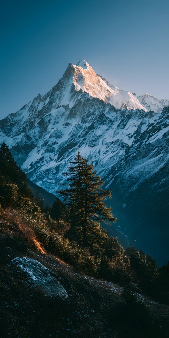 雪山之巔的晨曦