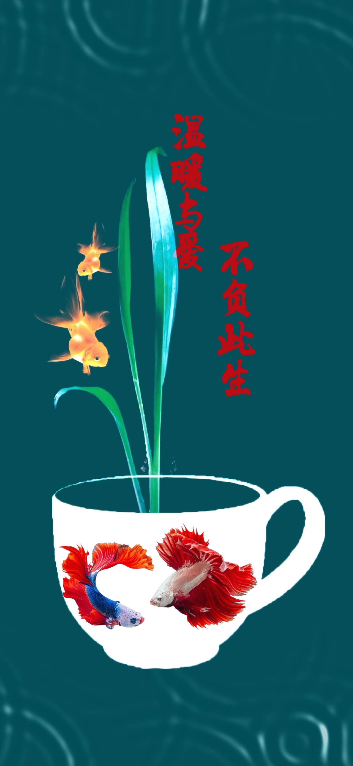 4K治愈文字壁紙