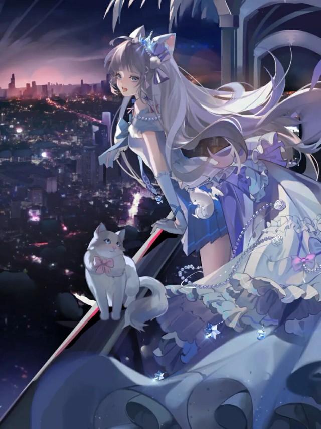 城市里的美人



