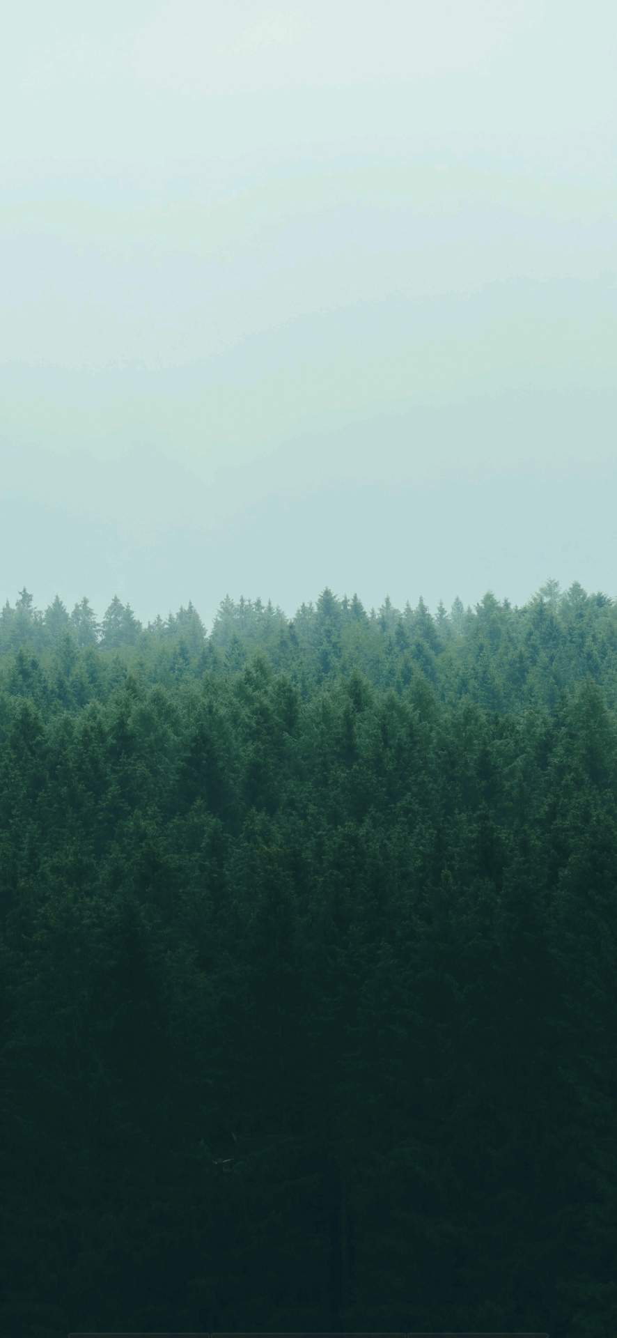 自然风景