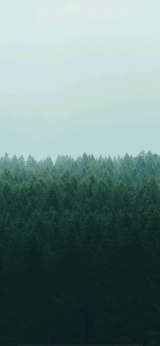 自然风景