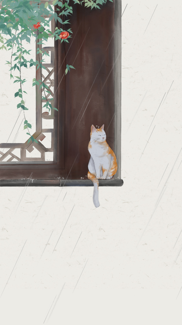 雨后的猫