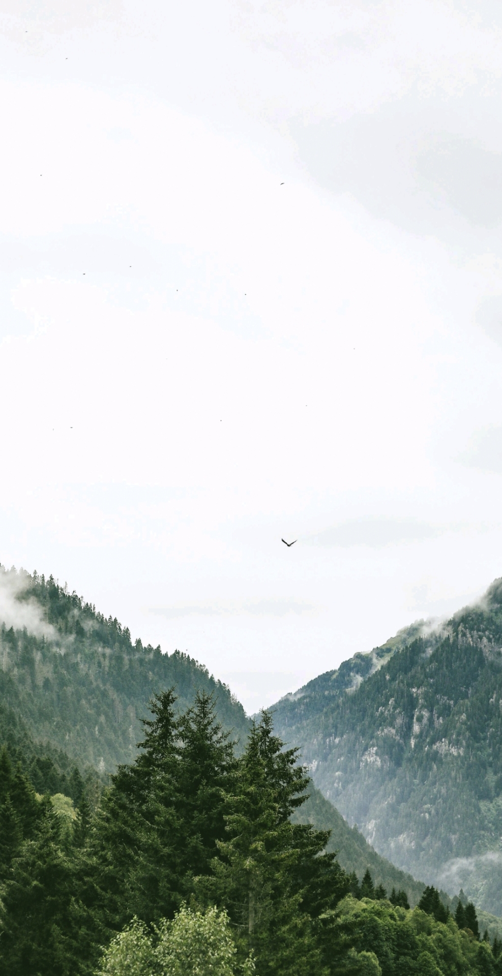 自然風景