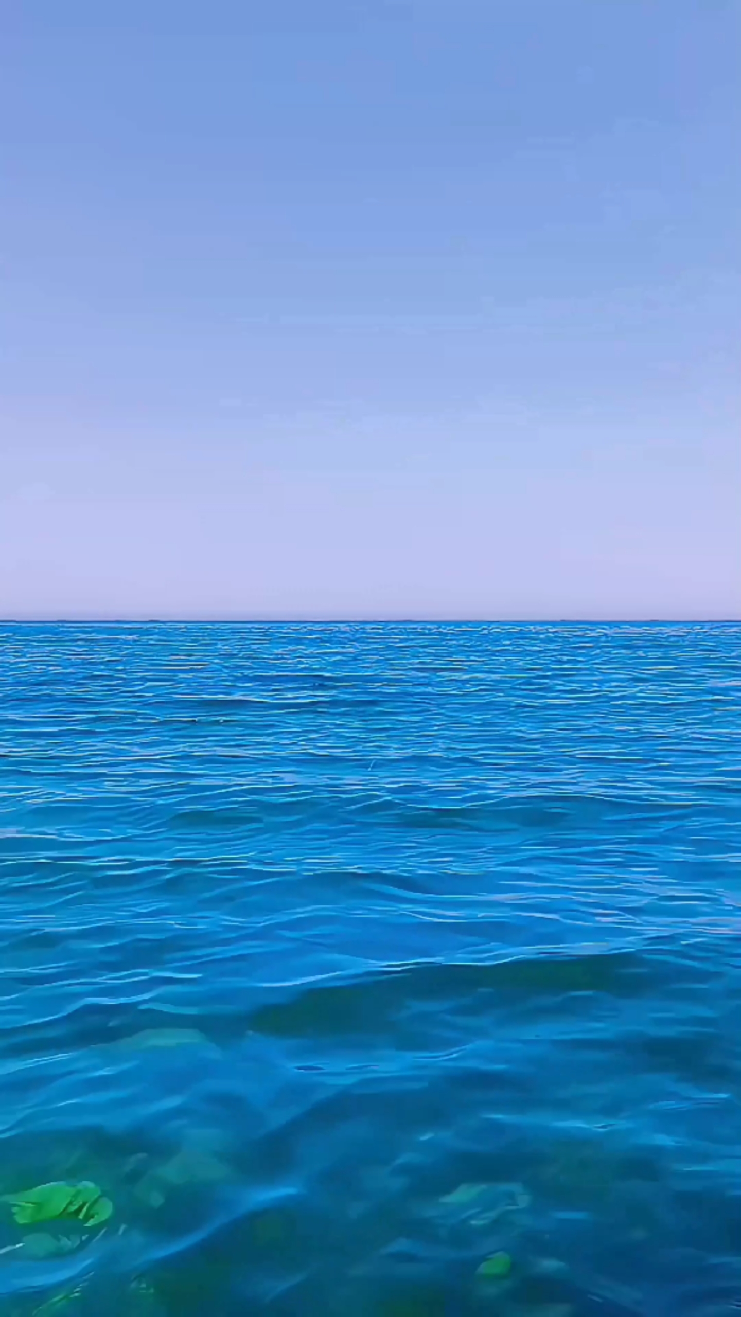 大海③