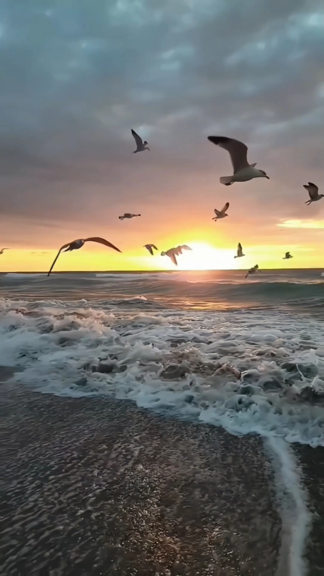 海上日出②