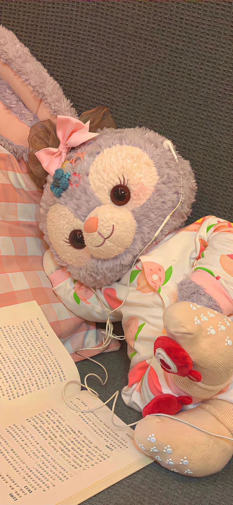 可愛的小貓