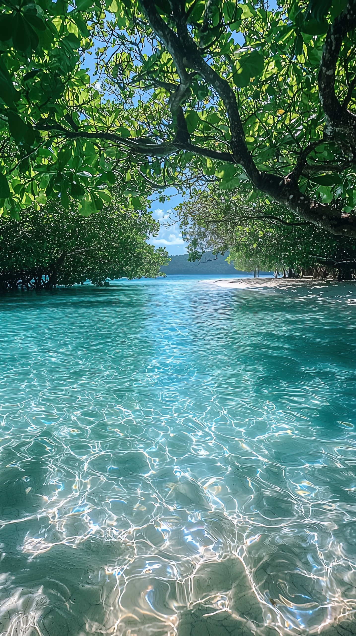 国家公园的清澈海水