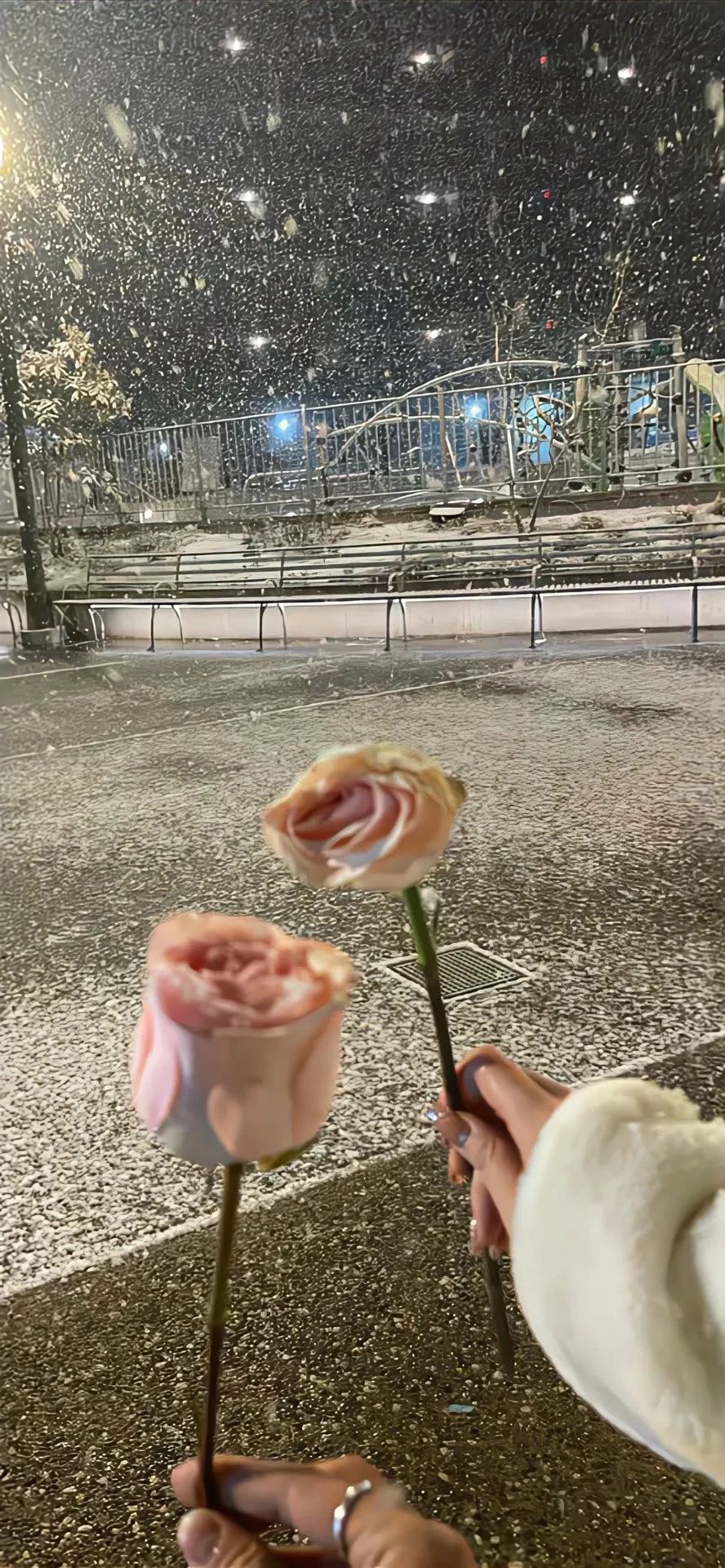 白花