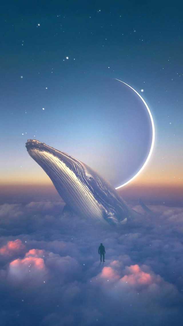 金魚