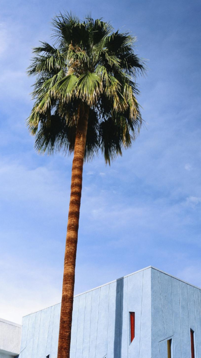 風景