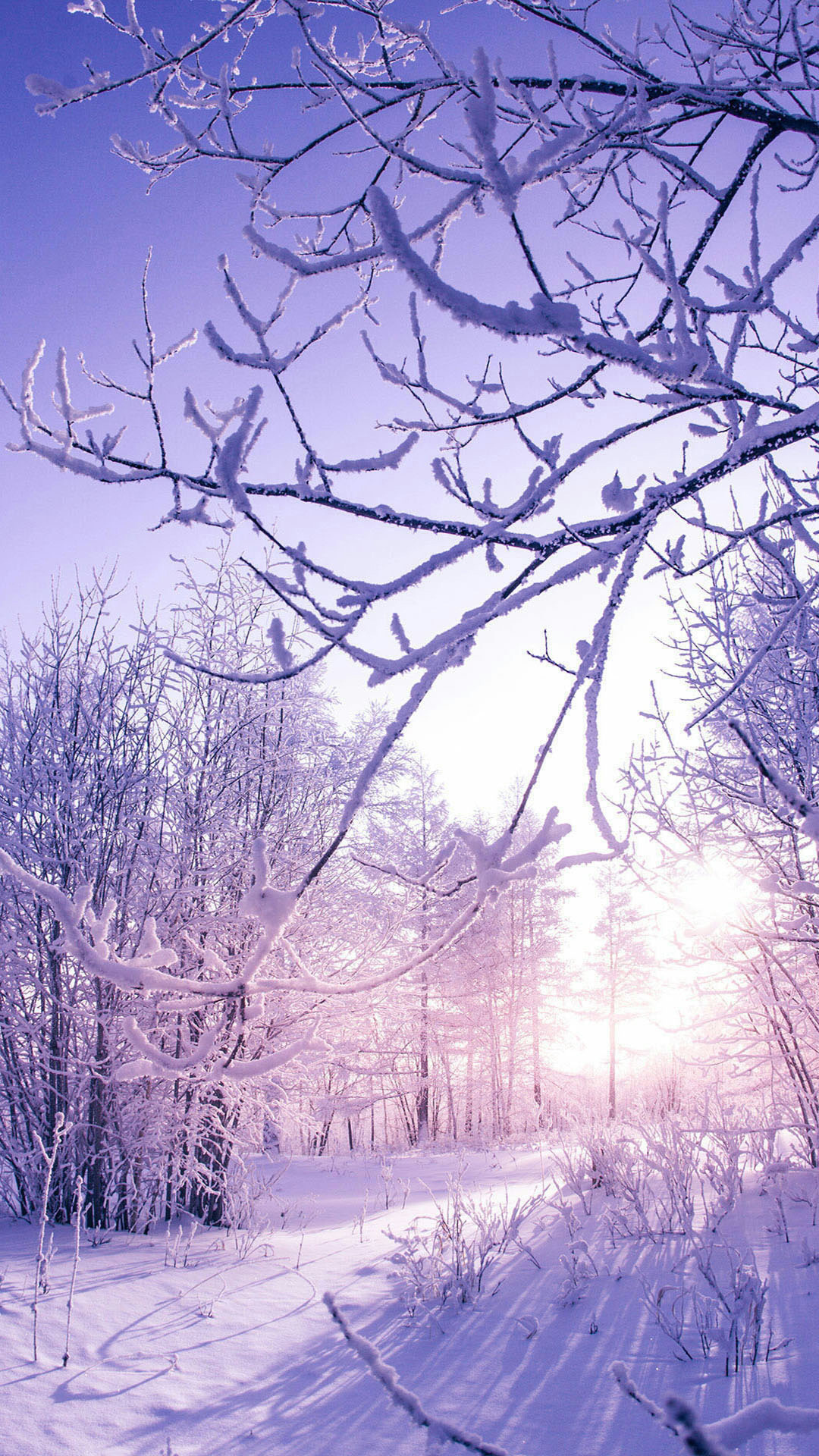 花露雪花園