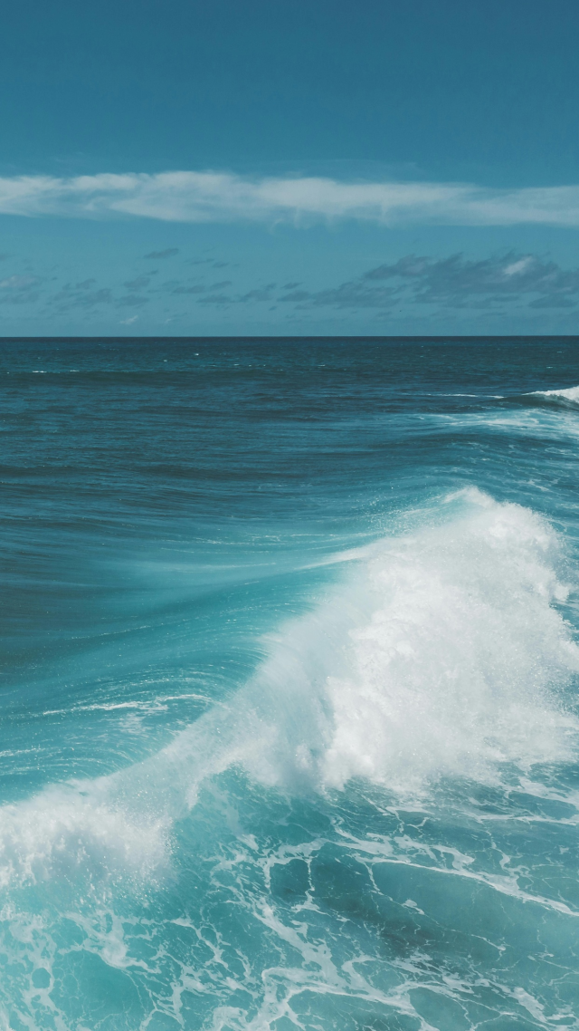 大海
