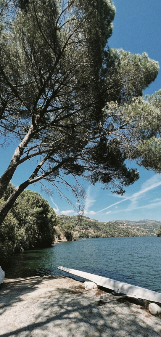 美觀風景