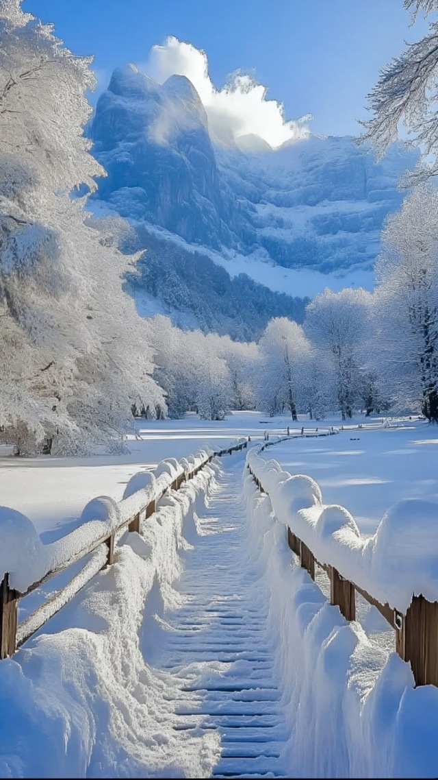 雪景不错