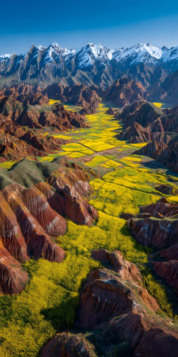 雪域花谷，自然的壮丽交响