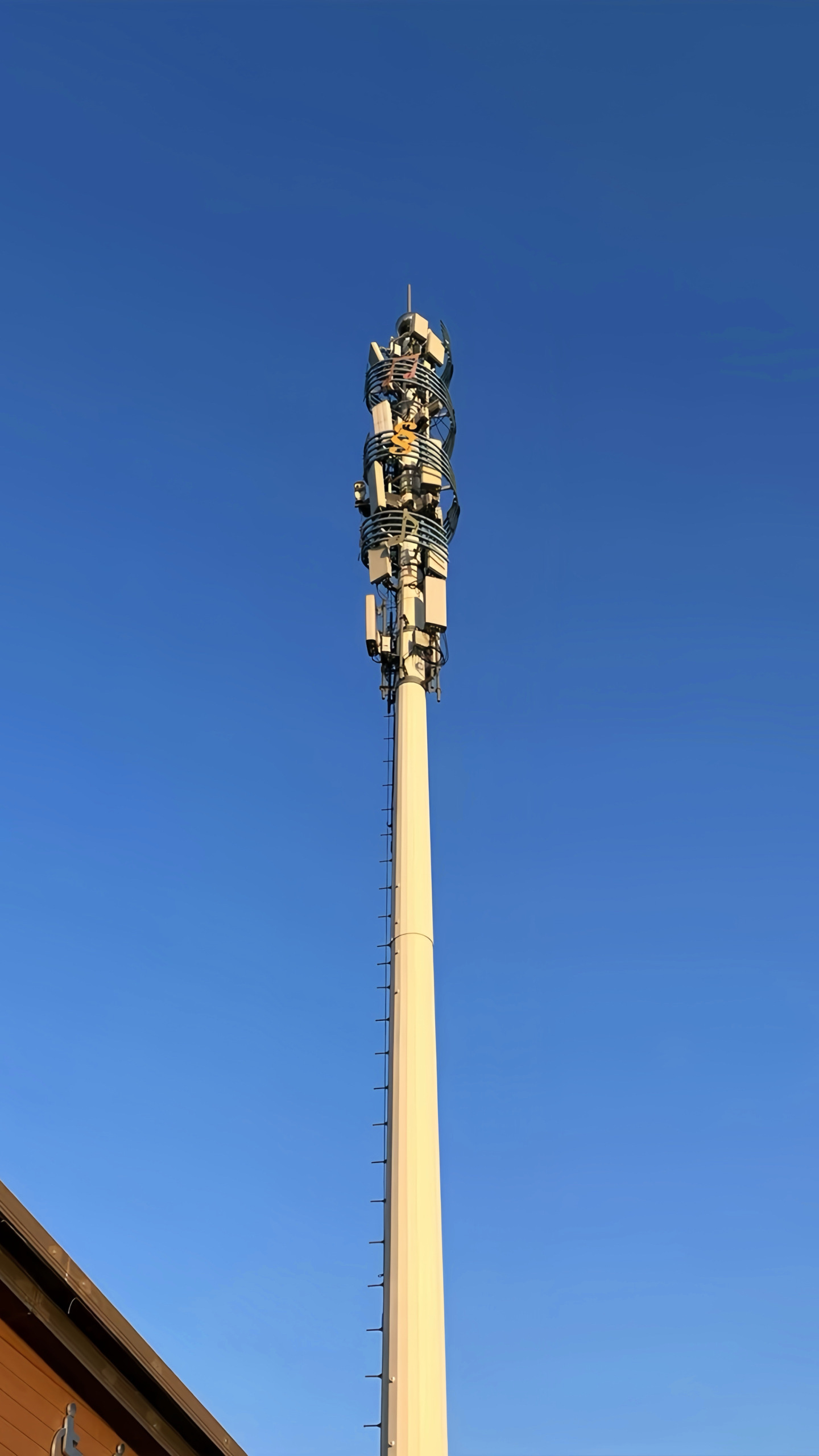 電線杆