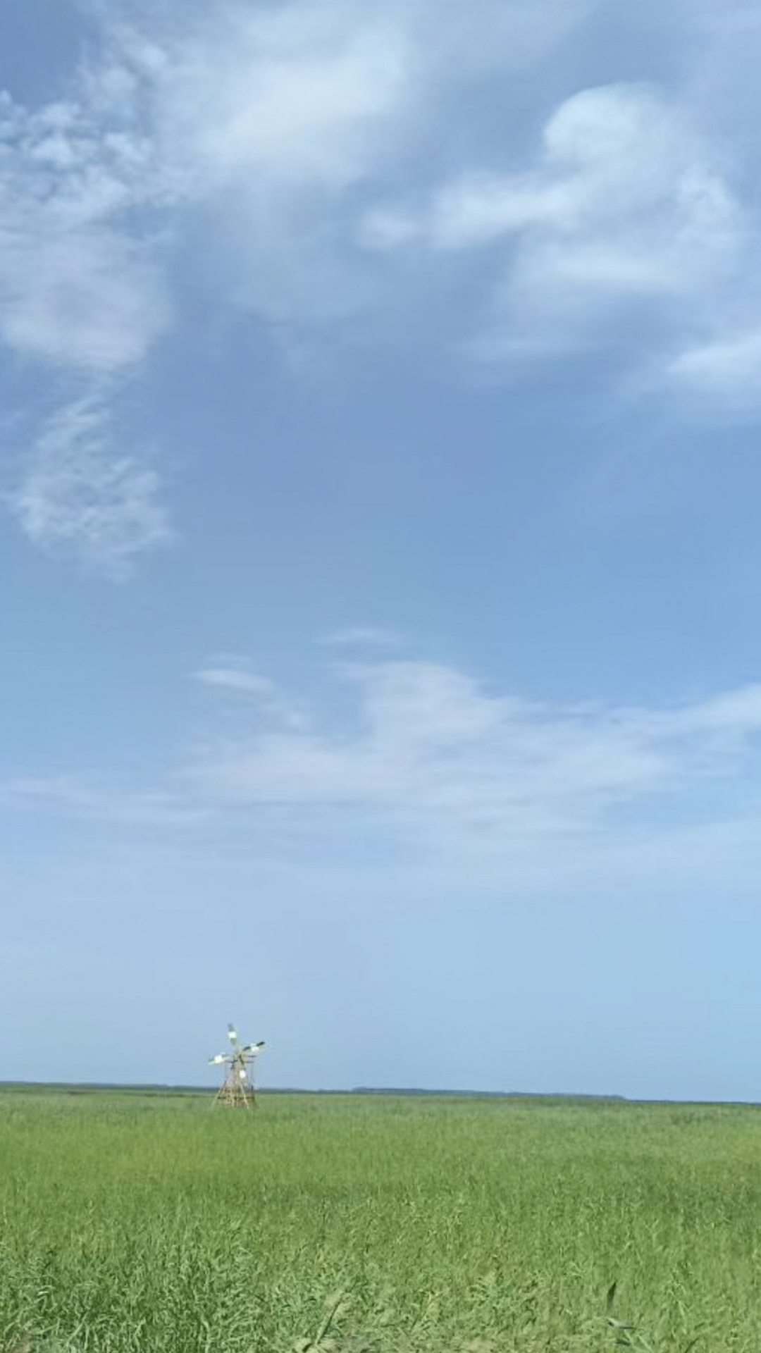 自然景觀