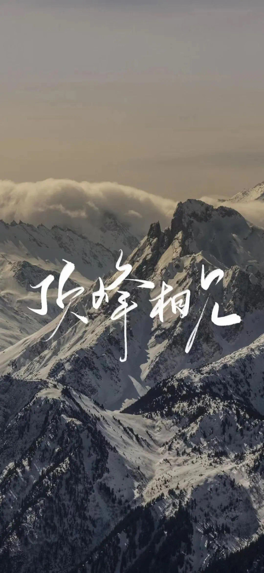 頂峰相見