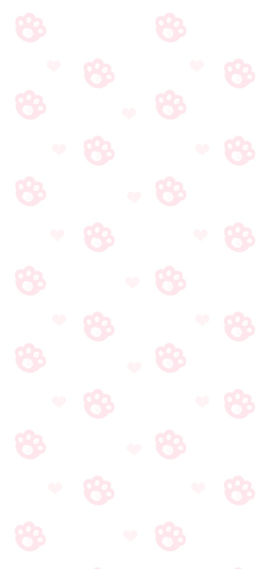 猫爪