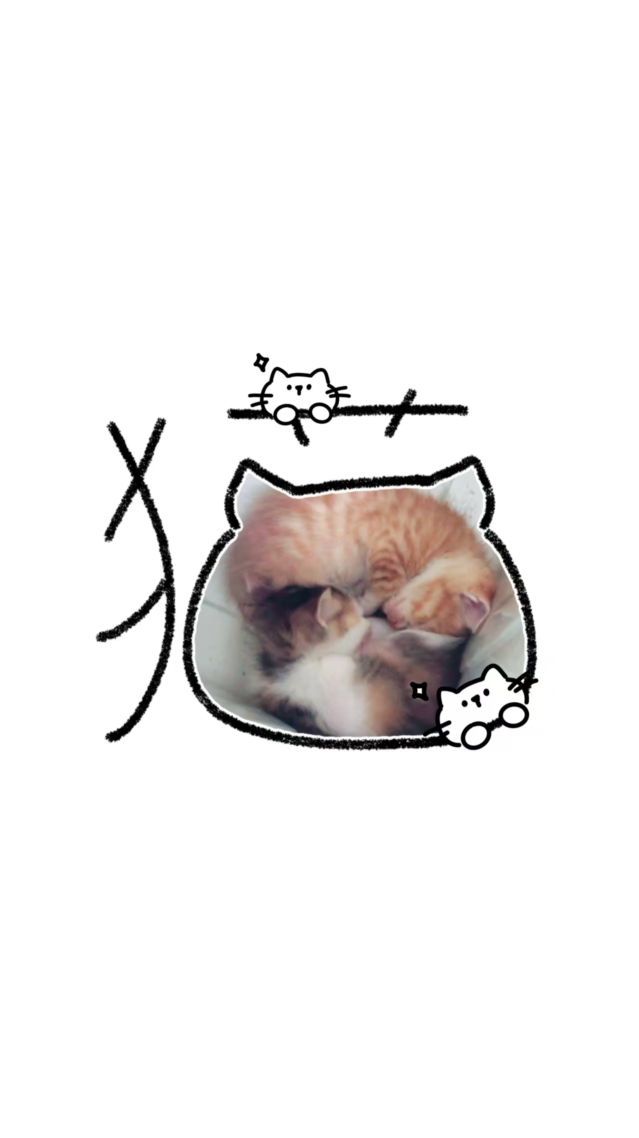 花咪和桔咪