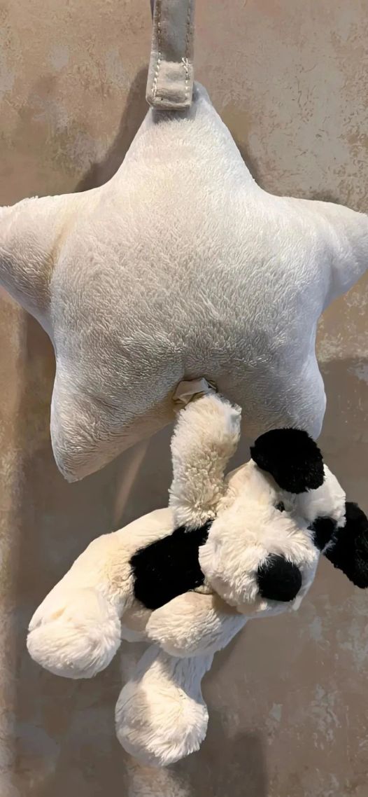 狗狗