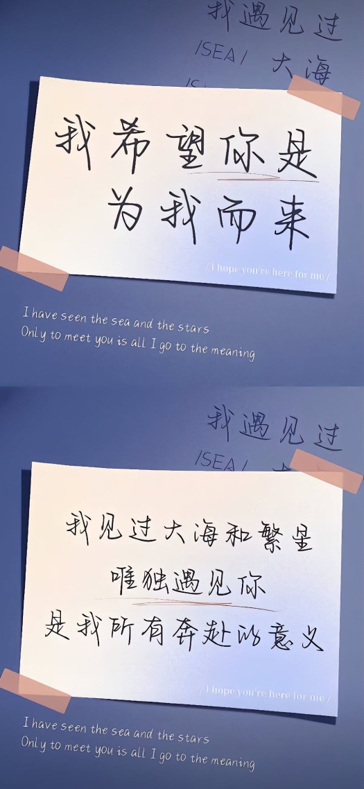 我希望你为我而来