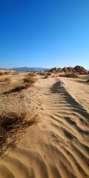 时光漫行，温柔常在