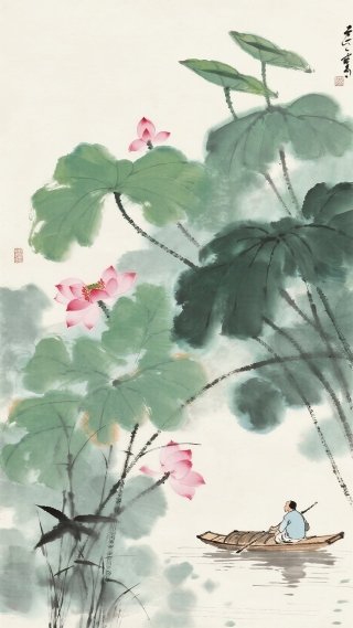 荷花8
