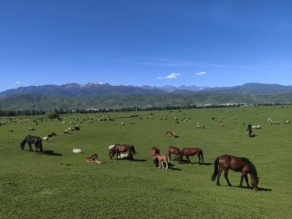 美丽的那拉堤