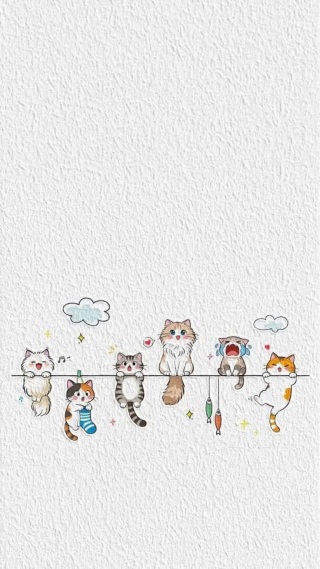 猫 4k