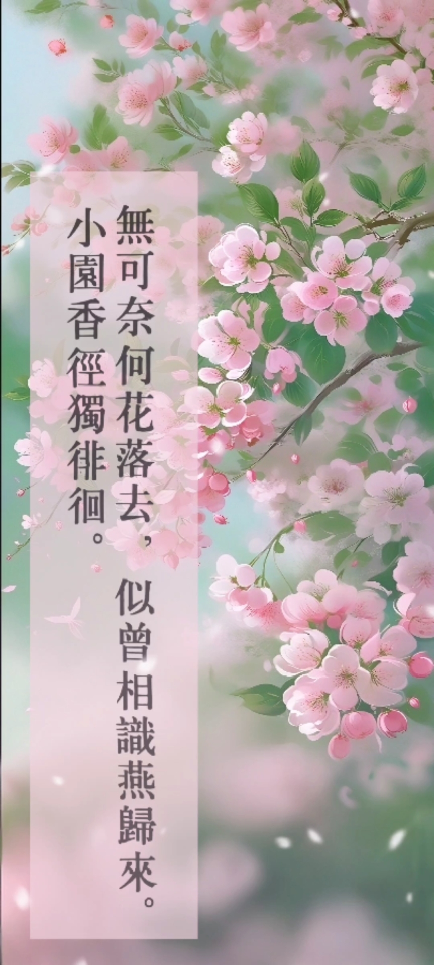 棠瓣逐風·青簡藏春