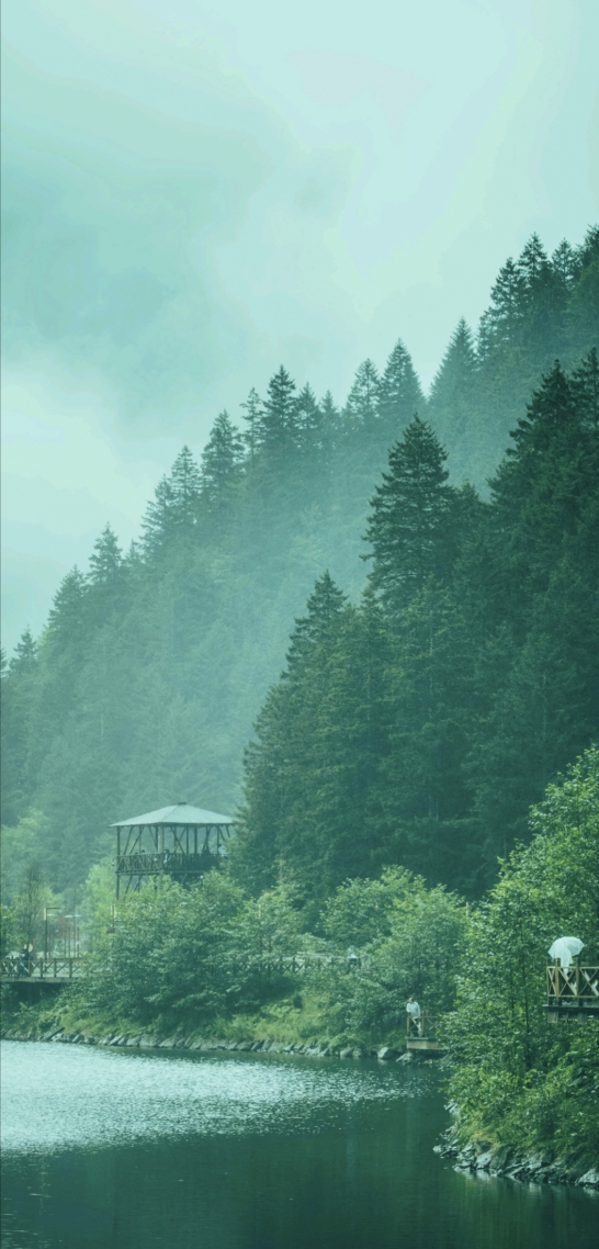 護眼風景